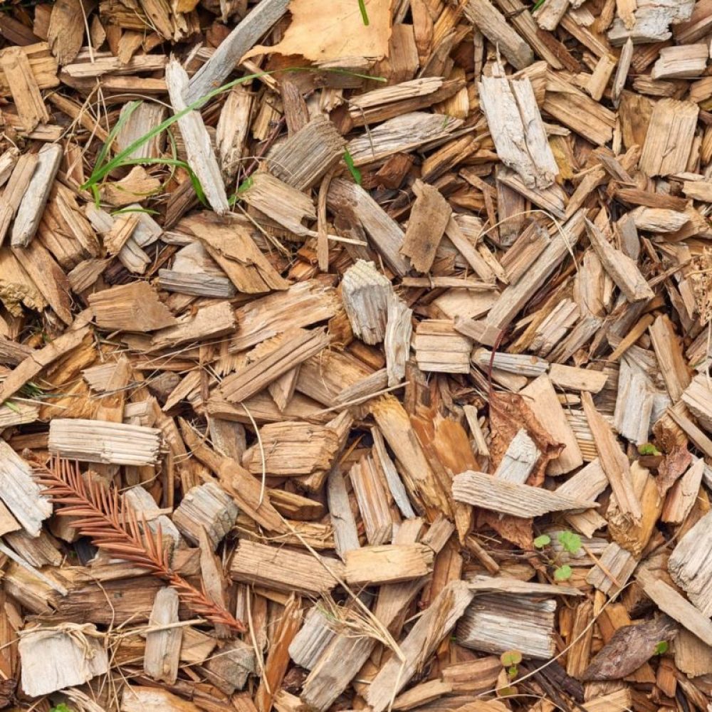 woodchips-header-1600x800